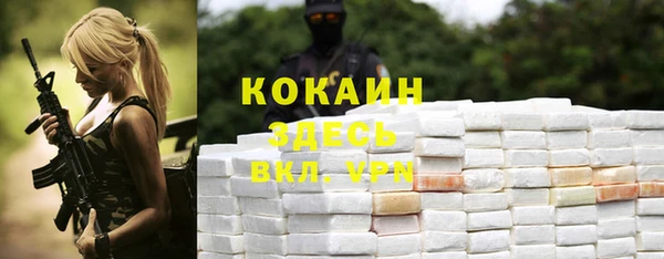 стафф Алзамай