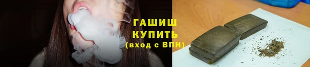 стафф Алзамай
