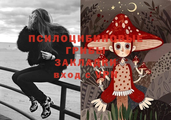 бутират Алексин