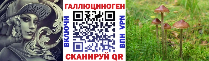 Галлюциногенные грибы MAGIC MUSHROOMS  Ардатов 